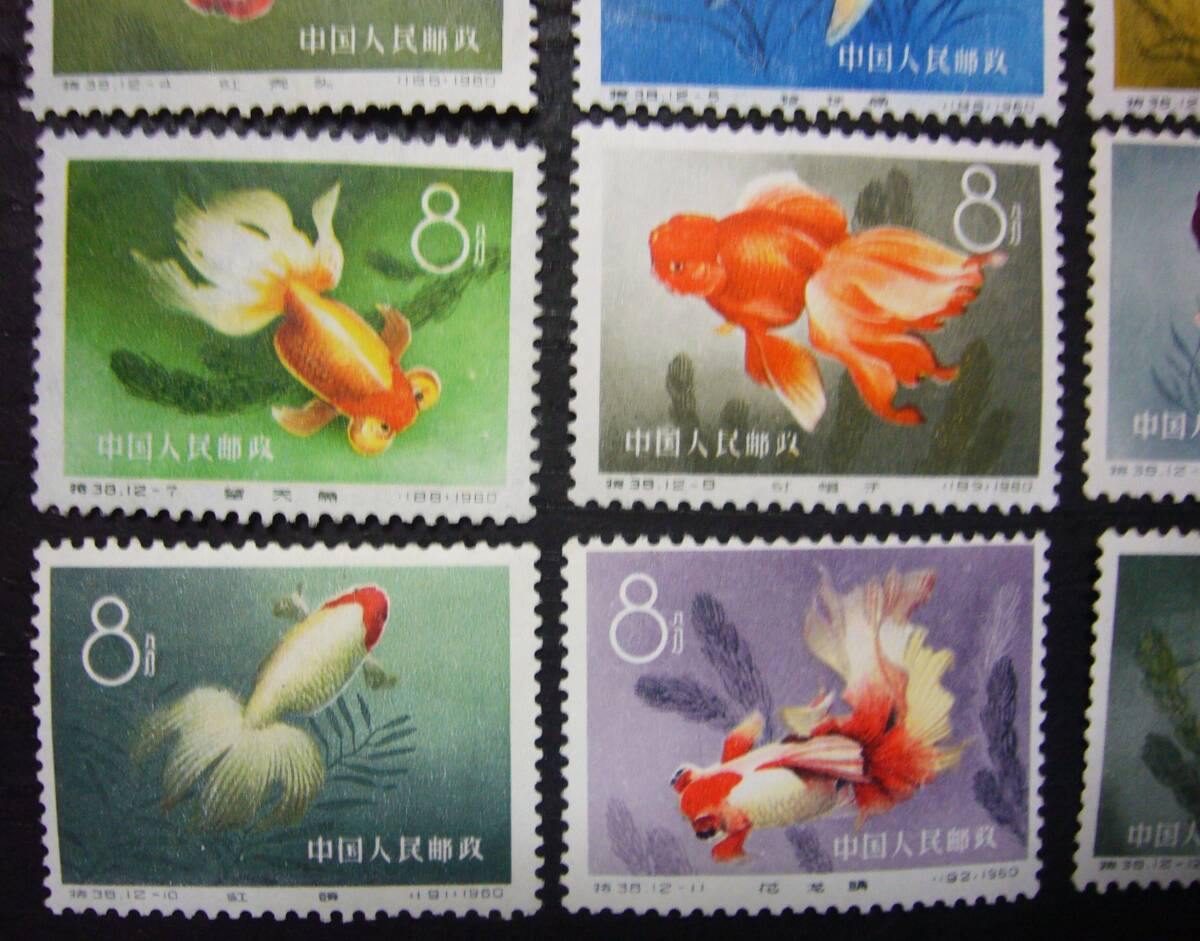 [ valuable!] China stamp [ Special 38 1960 year goldfish series * single one-side 12 kind .] unused NH type cost 34 ten thousand 