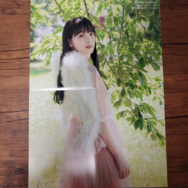 DK347 筒井あやめ×大園桃子（乃木坂46）◆ポスター 両面 雑誌付録_画像2