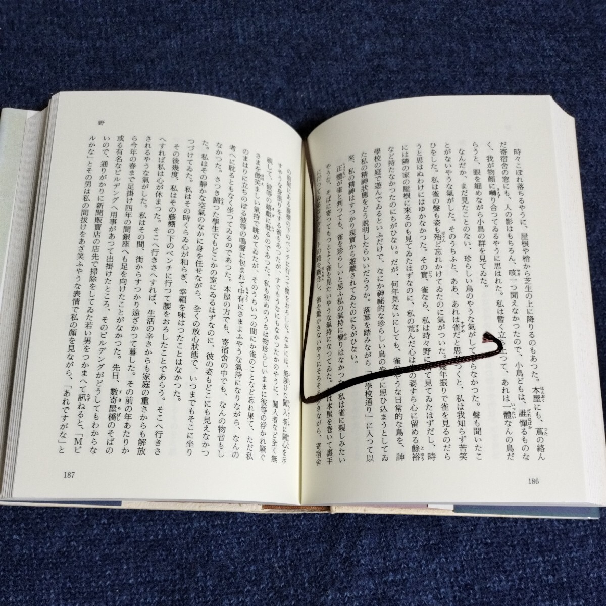 高知県昭和期小説名作集　全12巻揃い　別冊付録付き　高知新聞社　月報付き_画像7