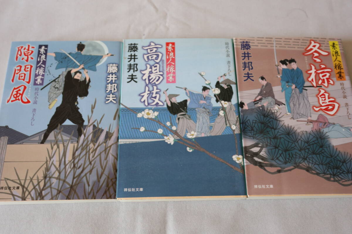 藤井邦夫　★　素浪人稼業　１～１５　１５作品　★　祥伝社文庫_画像4