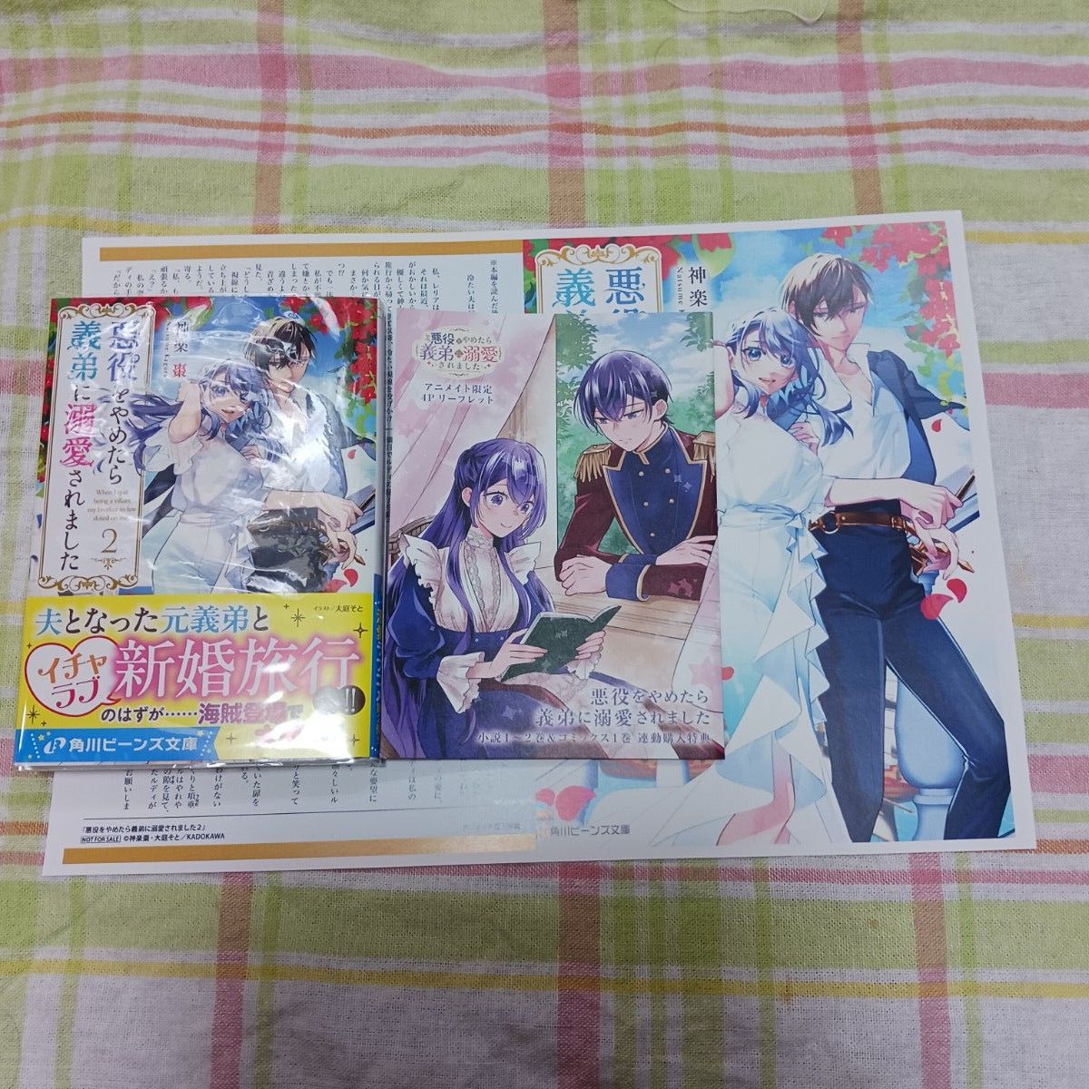  悪役をやめたら義弟に溺愛されました　２ （角川ビーンズ文庫　ＢＢ１８７－２） 神楽棗／〔著〕