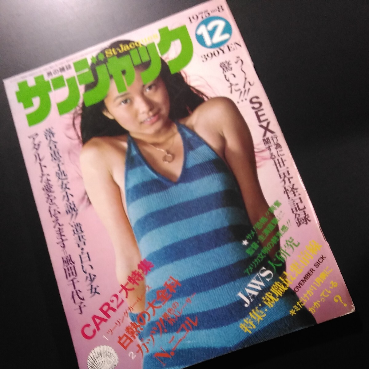 男の雑誌 サンジャック　No.8 1975年12月号 手塚さとみ 風間千代子ほか_画像1