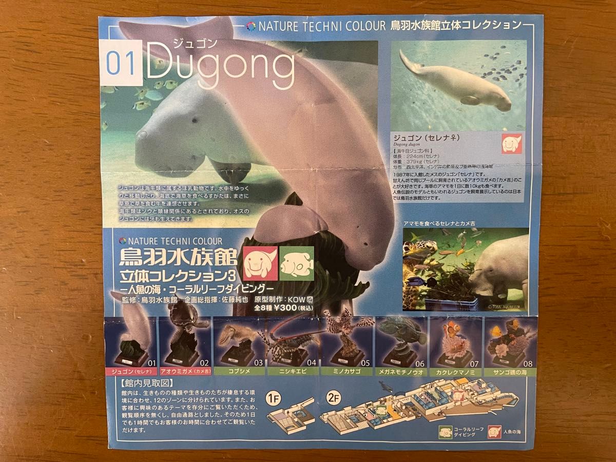 鳥羽水族館 立体コレクション3~人魚の海・コーラルリーフダイビング~ 01 ジュゴン(セレナ) 鳥羽水族館 立体コレクション3~人魚の海・コーラルリーフダイビング~ 01 ジュゴン(セレナ)