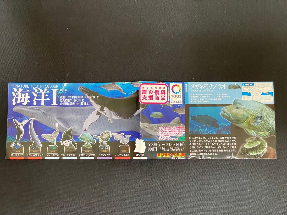 NATURE TECHNI COLOUR(ネイチャーテクニカラー)海洋Ⅰシリーズ NATURE TECHNI COLOUR(ネイチャーテクニカラー)海洋Ⅰシリーズ