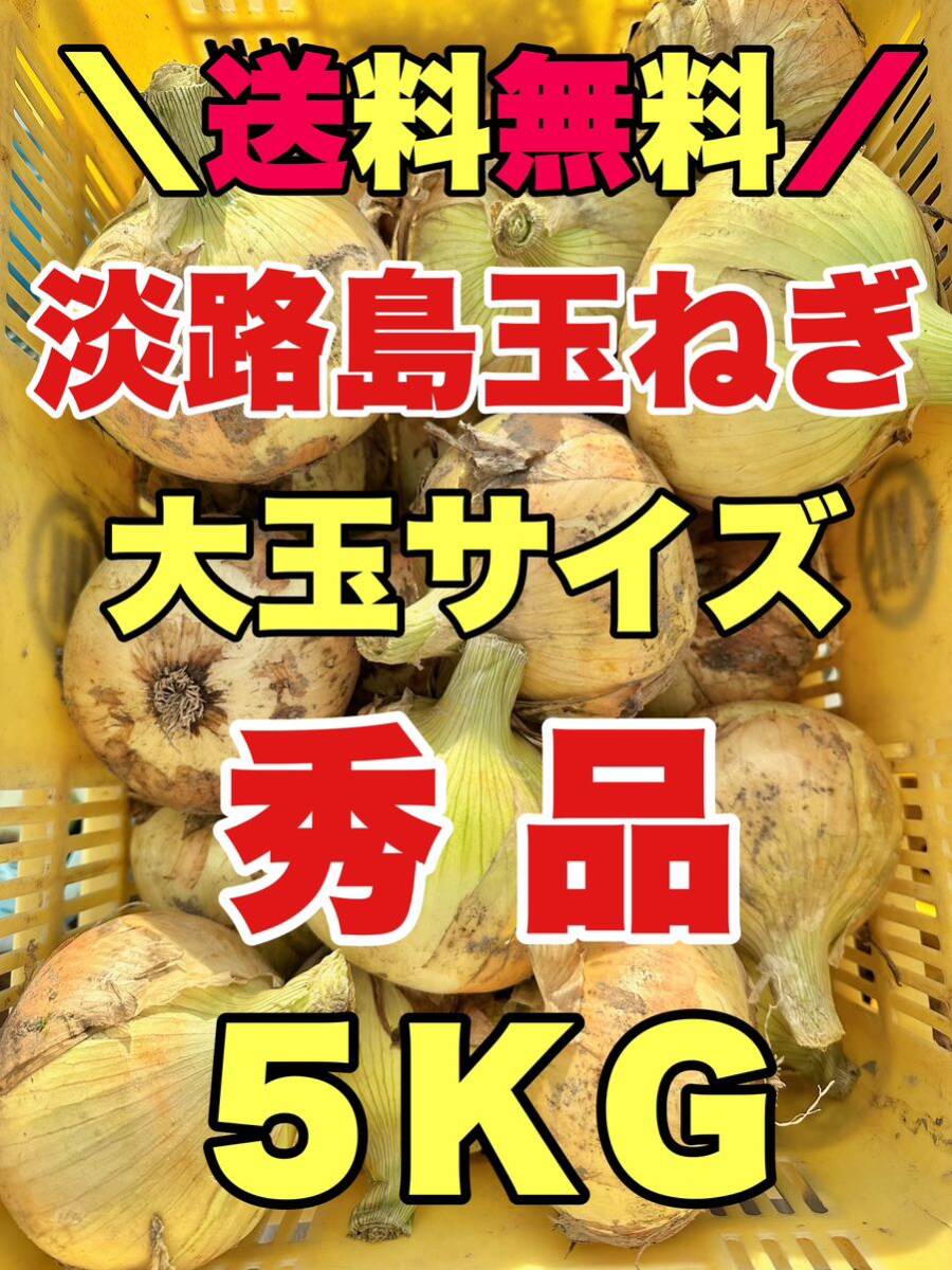  Awaji Island новый шар лук порей . сырой 7 сокровищ 5kg 5 kilo Awaji Island лук репчатый шар лук порей превосходящий товар 
