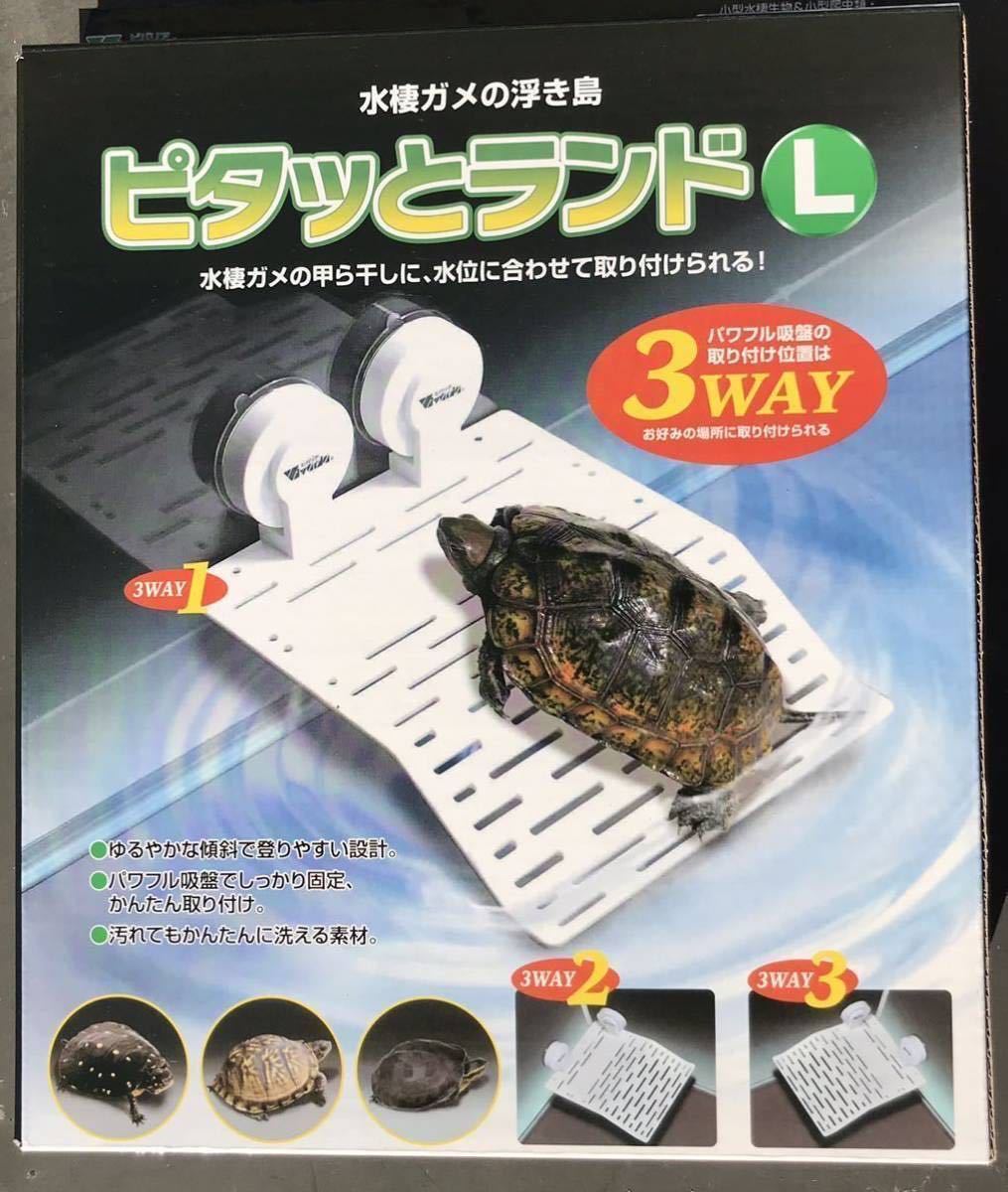  turtle. coming off island bi burr apita. Land L(24.×20.)( turtle newt frog ) powerful suction pad practical design ( new goods unused free shipping )