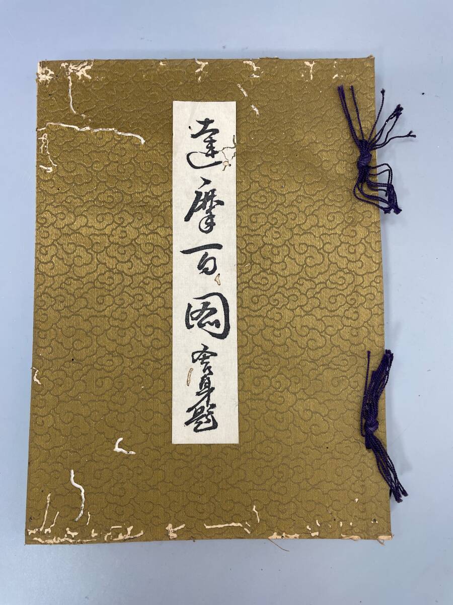 偉大な 画 出版社 達磨百図 奥村 池上文僊 佐藤駒太郎 サイズ約19.5x26.6x1.4cm 古書 古美術 経年劣化あり 骨董 古本 和書 古文書 和書