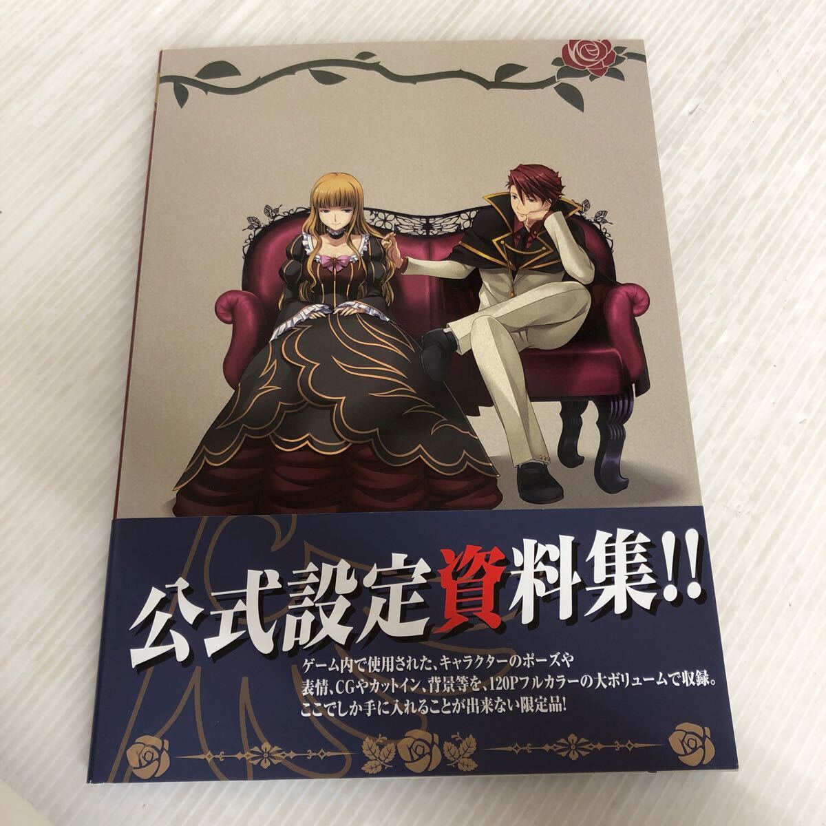 A-ш/ うみねこのなく頃に ビジュアルブック 2011年12月15日初版 A-ш/ うみねこのなく頃に ビジュアルブック 2011年12月15日初版