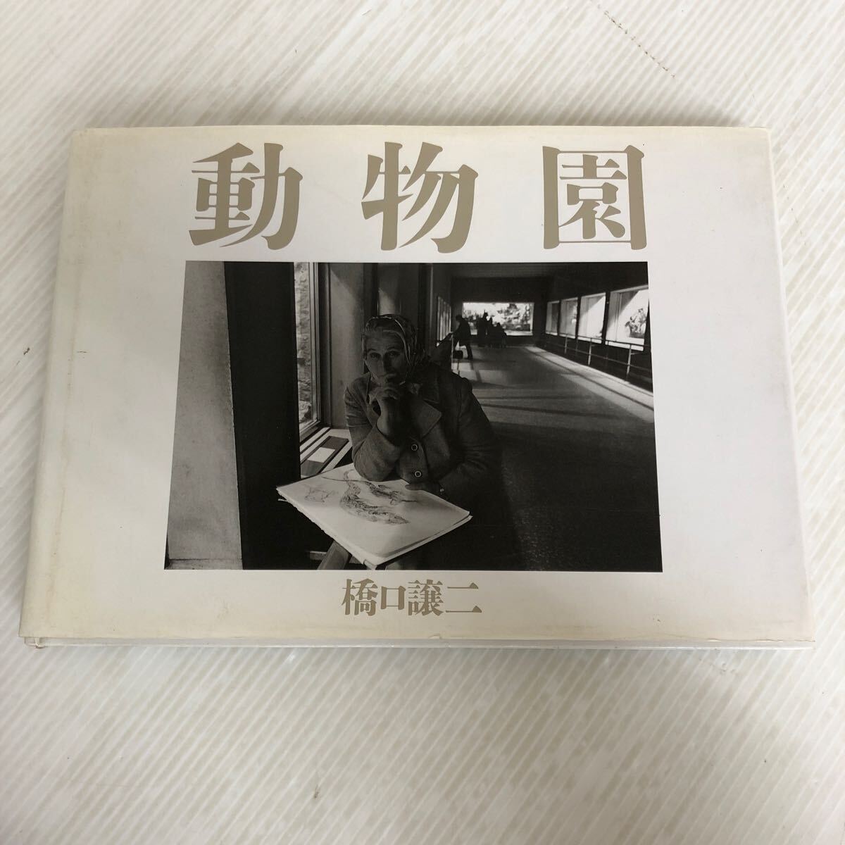 注目ブランドのギフト B-ш/ 動物園Zoo 著/橋口譲二 1989年6月16日第1刷発行 情報 ドキュメント