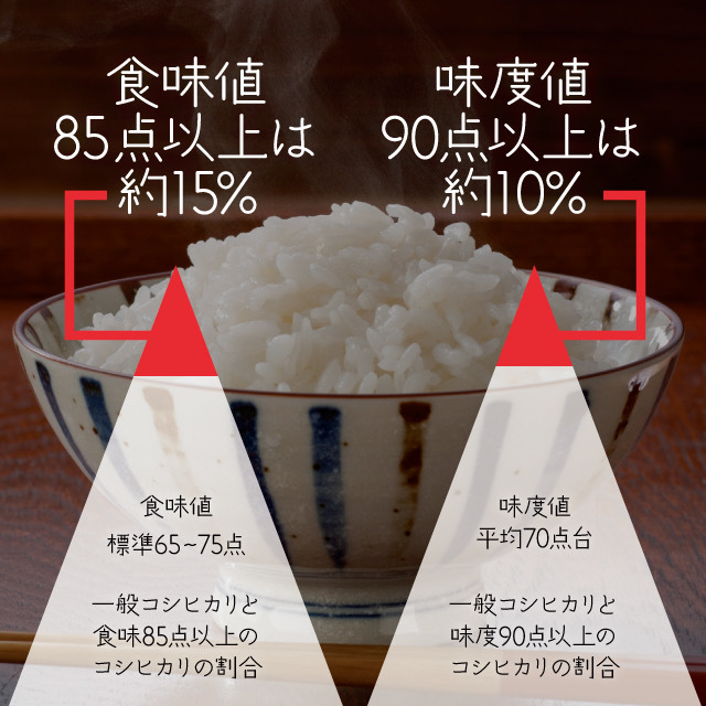 令和5年産 一等米　希少コシヒカリ！はちたか米 10kg_画像7