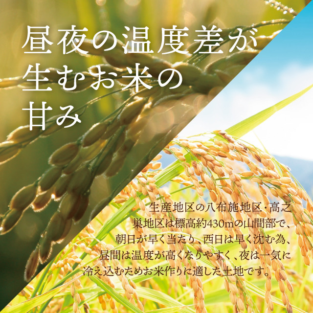 . peace 5 year production one etc. rice rare Koshihikari! is ... rice 5kg