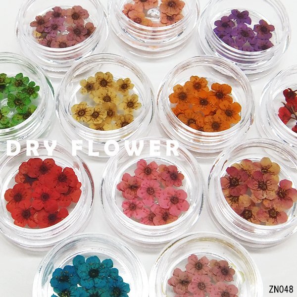  pressed flower (B) 12 kind set clear case entering deco parts nail art resin hand made dry flower mail service /10