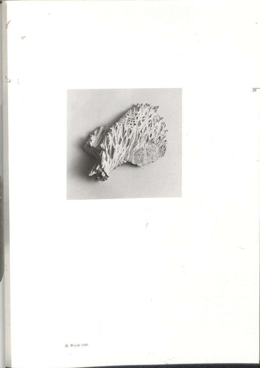 （展覧会図録）　戸谷成雄、1984ー1987　（佐谷画廊・1987年）　寄稿：峯村敏明、他_画像3