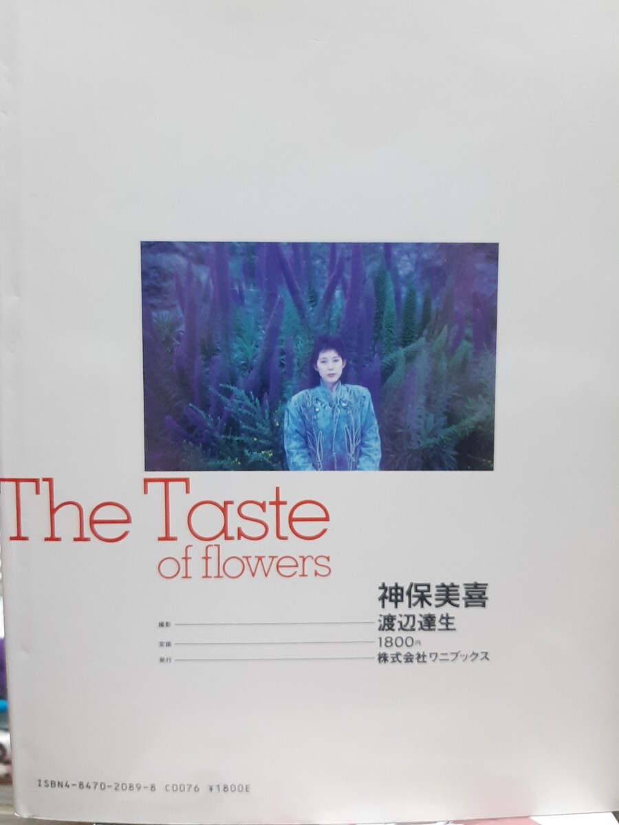  神保美喜 写真集 『The Taste of flowers』※送料無料