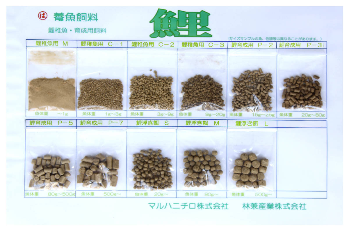 鯉　錦鯉　金魚　エサ　マルハ ニチロ　錦鯉えさ　　　浮きエサ　15キロ　　Ｓ・Ｍ・Ｌサイズ 未使用_画像2