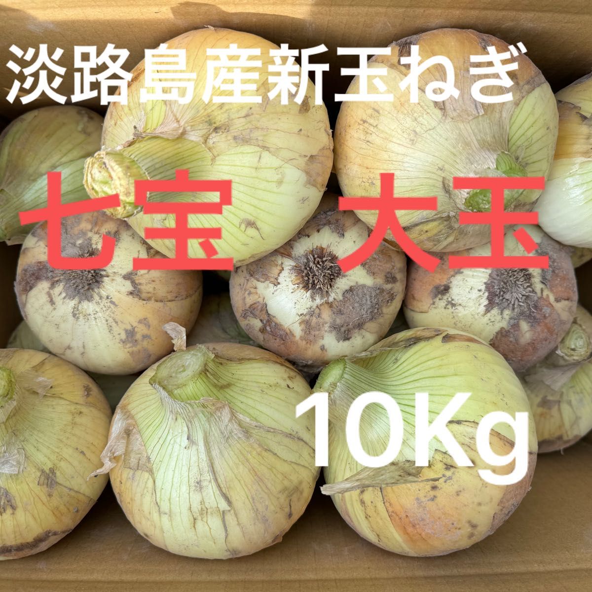 淡路島産新玉ねぎ大玉七宝10Kg