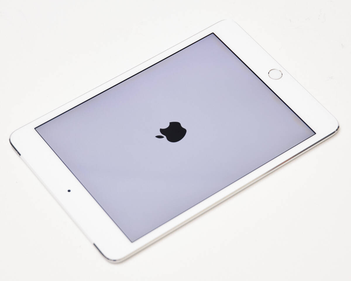 【美品】 iPad mini4 Wi-Fi+Cellular 64GB シルバー simフリー Appleストア購入 元箱・充電器付き_画像9