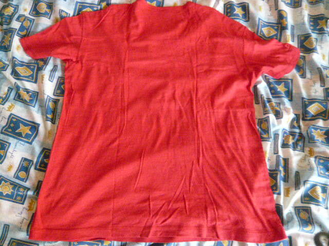パパス、papas 、麻使用、半袖　Tシャツ　（中古美品）サイズ50（L)_画像3