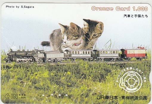 ＪＲ東日本「汽車と子猫たち」使用済みの画像1