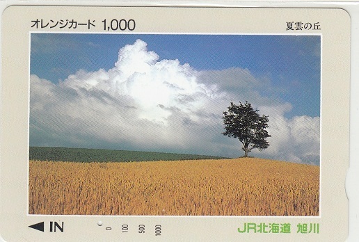 ＪＲ北海道「夏雲の丘」1穴使用済みの画像1