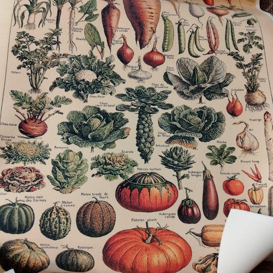 【布ポスター】料理用植物図鑑　ベジタブル　野菜　ファブリックパネル　壁掛け