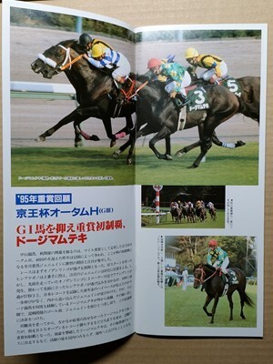 競馬 JRA レープロ960908中山 京王杯オータムHクラウンシチー/#ドージマムテキ サクラチトセオー トシグリーン バリエンテー Uマイシンザン_画像1