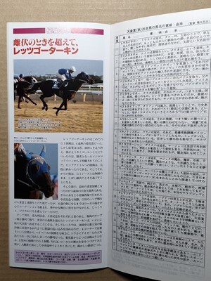 競馬 JRA レープロ961027東京 天皇賞秋バブルガムフェロー /メジロドーベル /タックスヘイブン /#サクラチトセオー Yレッツゴーターキン_画像1