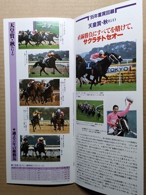 競馬 JRA レープロ961027東京 天皇賞秋バブルガムフェロー /メジロドーベル /タックスヘイブン /#サクラチトセオー Yレッツゴーターキン_画像3