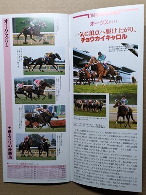 競馬 JRA レープロ950520東京トロットサンダー/ヒシアケボノ/#チョウカイキャロル Hベガ シスタートウショウアグネスフローラ読BNWダービー_画像2