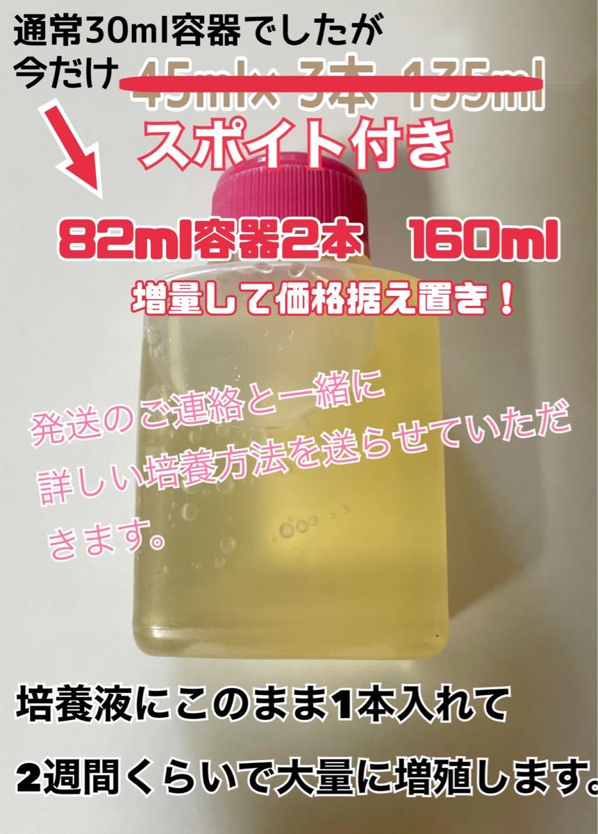 メダカ 針子 稚魚の餌に！！ ビネガーイール 種水　通常の1.7倍量82ml×2本(合計160ml) 培養液　今だけスポイト付き