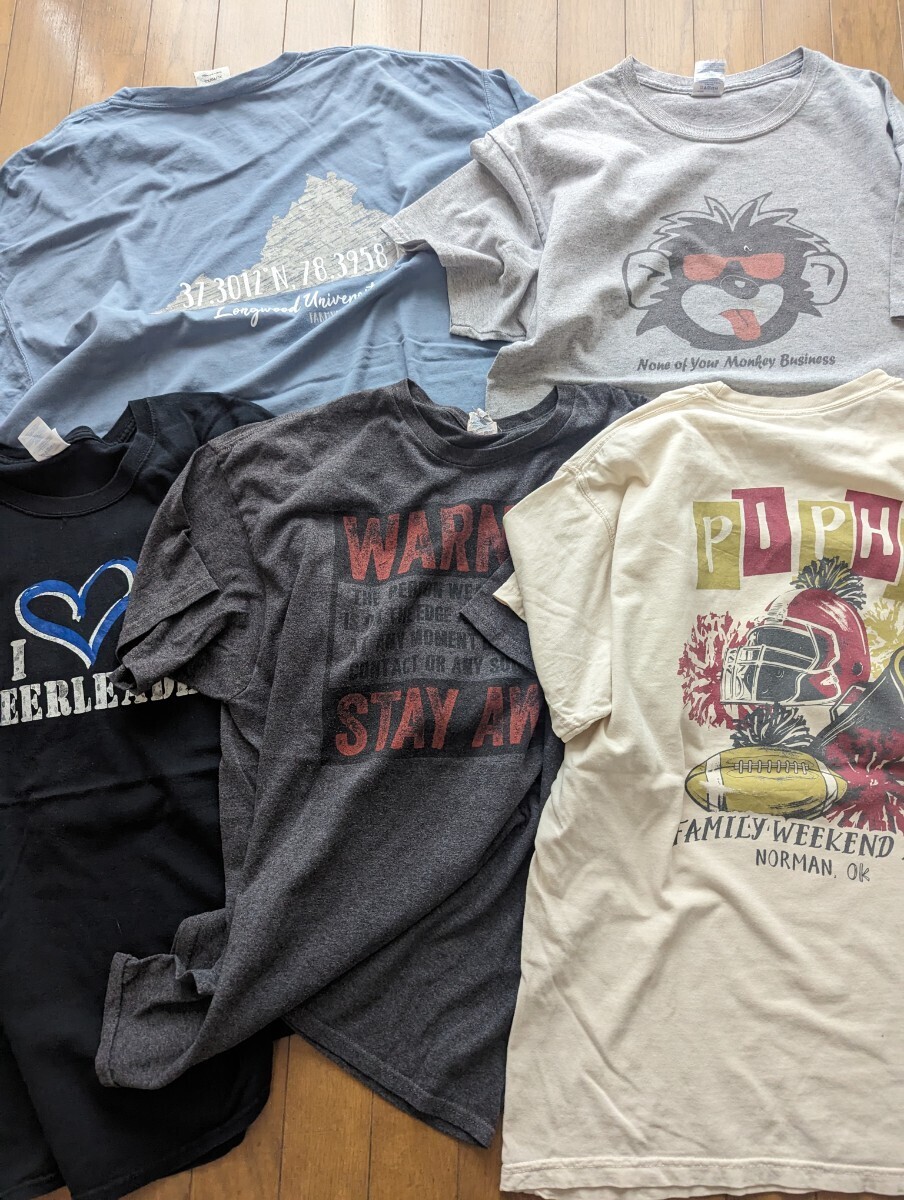 古着 Tシャツまとめ売り16枚　Ｌ11枚　XL4枚　freeサイズ1枚、バンドT、カレッジT、 シングルステッチビンテージT含む　ロゴ、プリントT_画像6