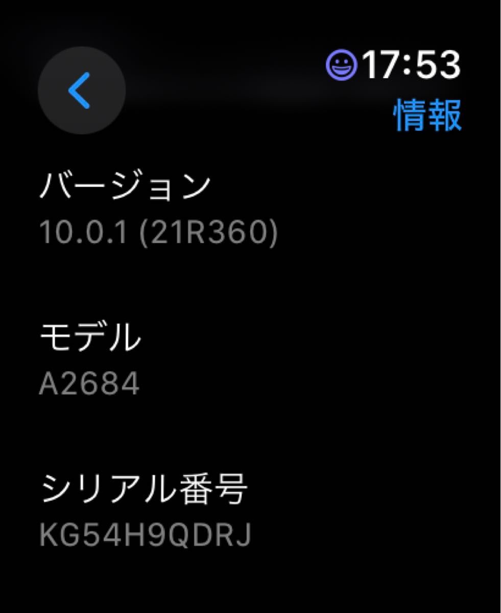 Apple Watch Ultra 49mm Titanium Blue/Gray Trail Loop S/M 公式保証期間あり