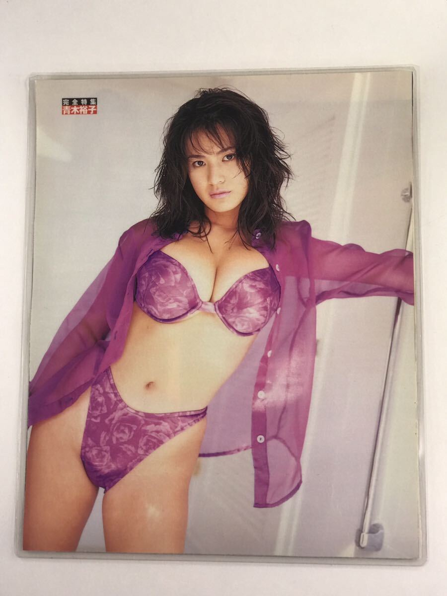 [150μフィルム厚手ラミネート加工］　青木裕子9ページ　雑誌の切り抜き　ハイレグ水着グラビア_画像7