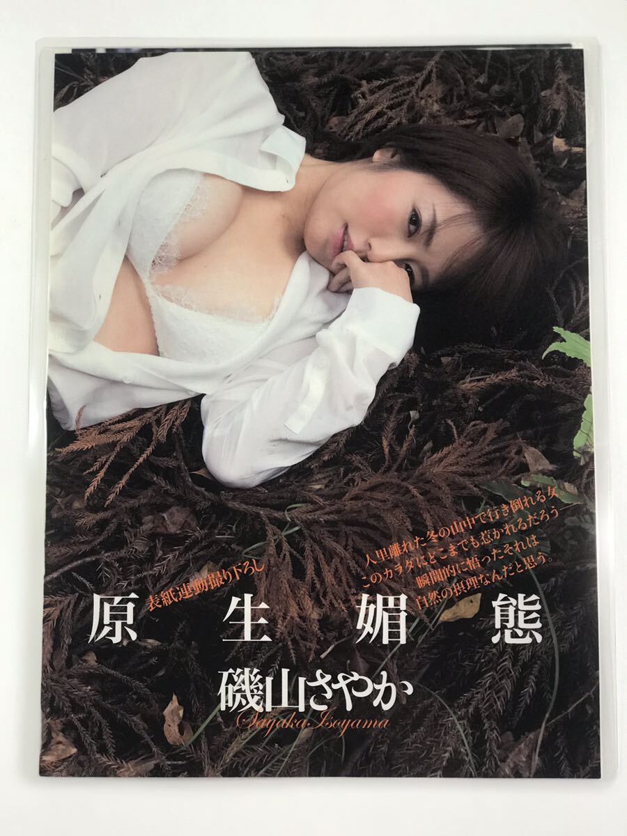 [150μフィルム厚手ラミネート加工］　磯山さやか5ページ　雑誌の切り抜き　下着ランジェリー　山奥で日が暮れるまでポージンググラビア_画像3