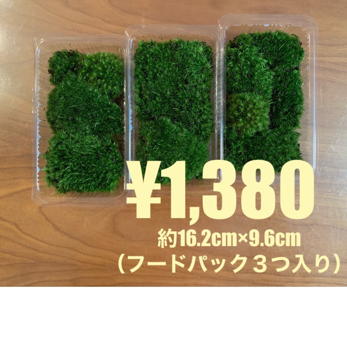 No.105  ヤマゴケ　山苔　苔　天然苔　盆栽　庭苔　テラリウム　イモリウム　3パック