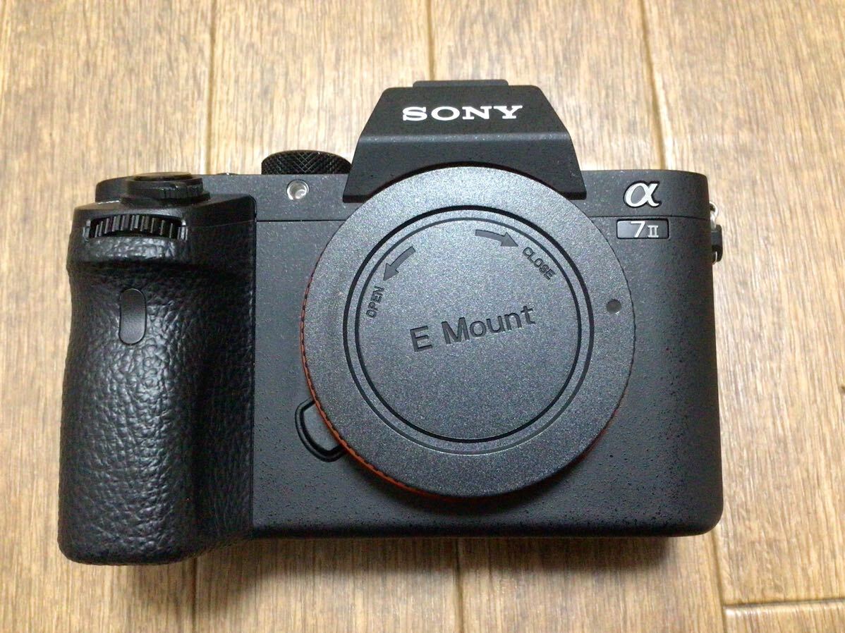 SONY α7Ⅱボディ 美品！(ソニー)の画像4