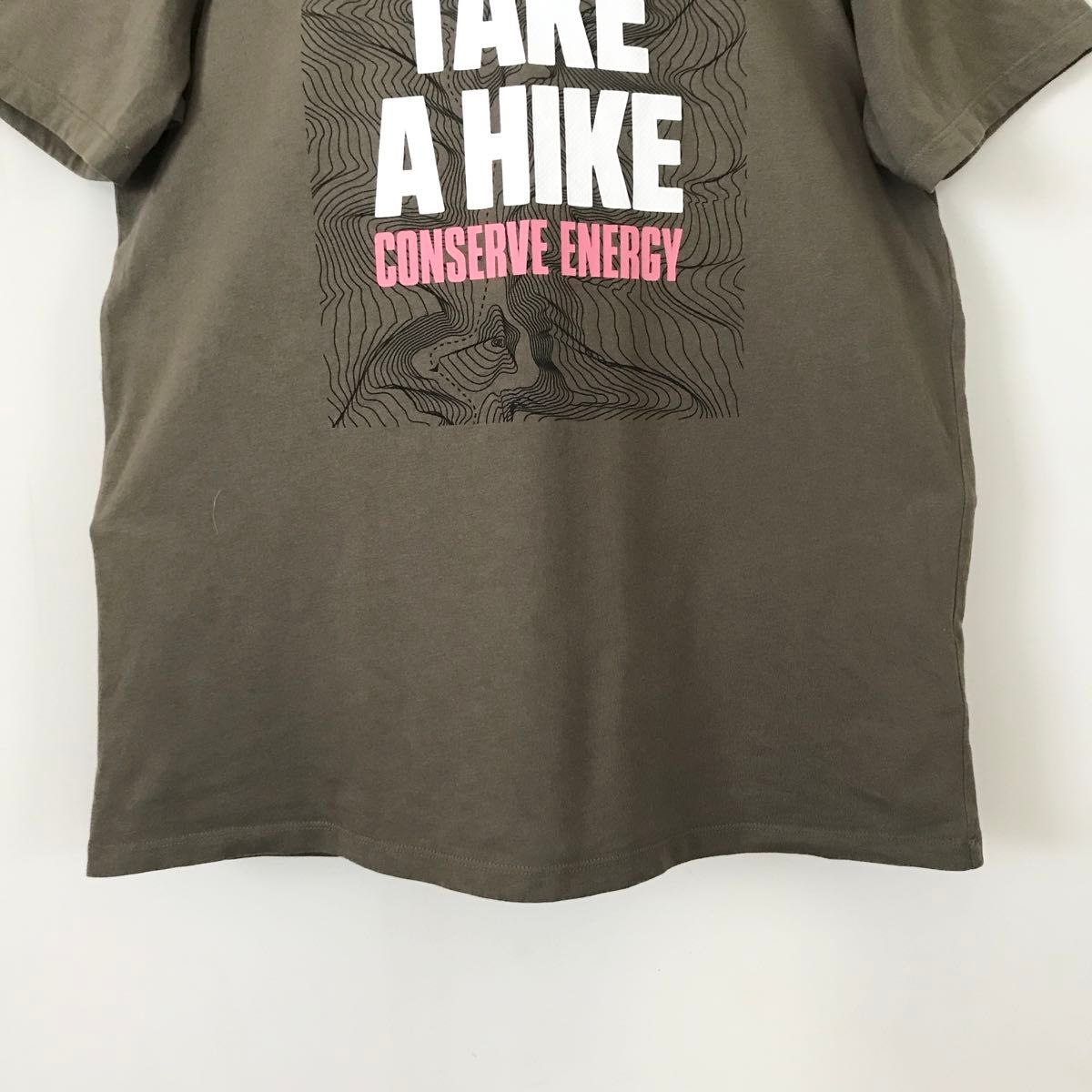 Timberland ティンバーランド★グラフィックTシャツ★Take a Hike conserve energy★USA L 