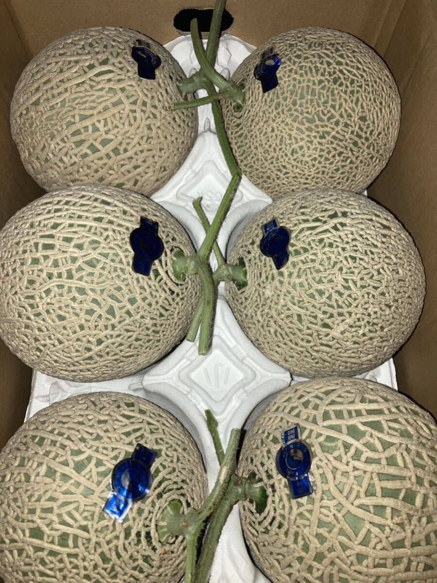  limited amount a-rus melon 1 box 4~5kg