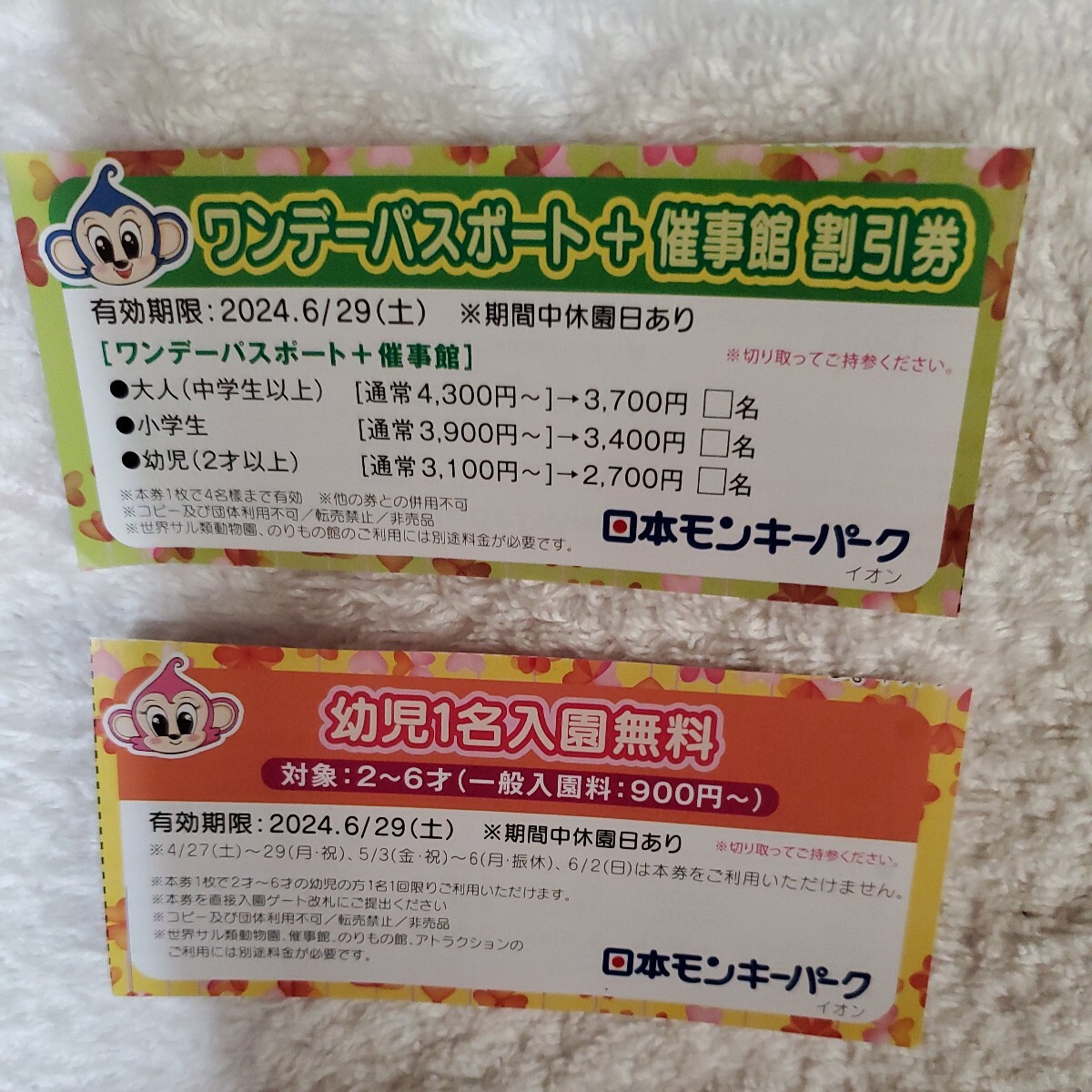 日本モンキーパーク　幼児入園無料+催事館割引、ワンデーパスポート(一枚で4名様可能)割引券各1枚　　有効期限2024.6.29 _画像1