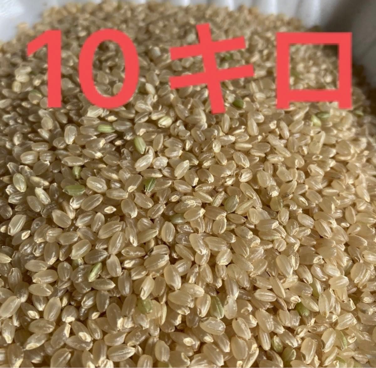 コシヒカリ玄米　無農薬