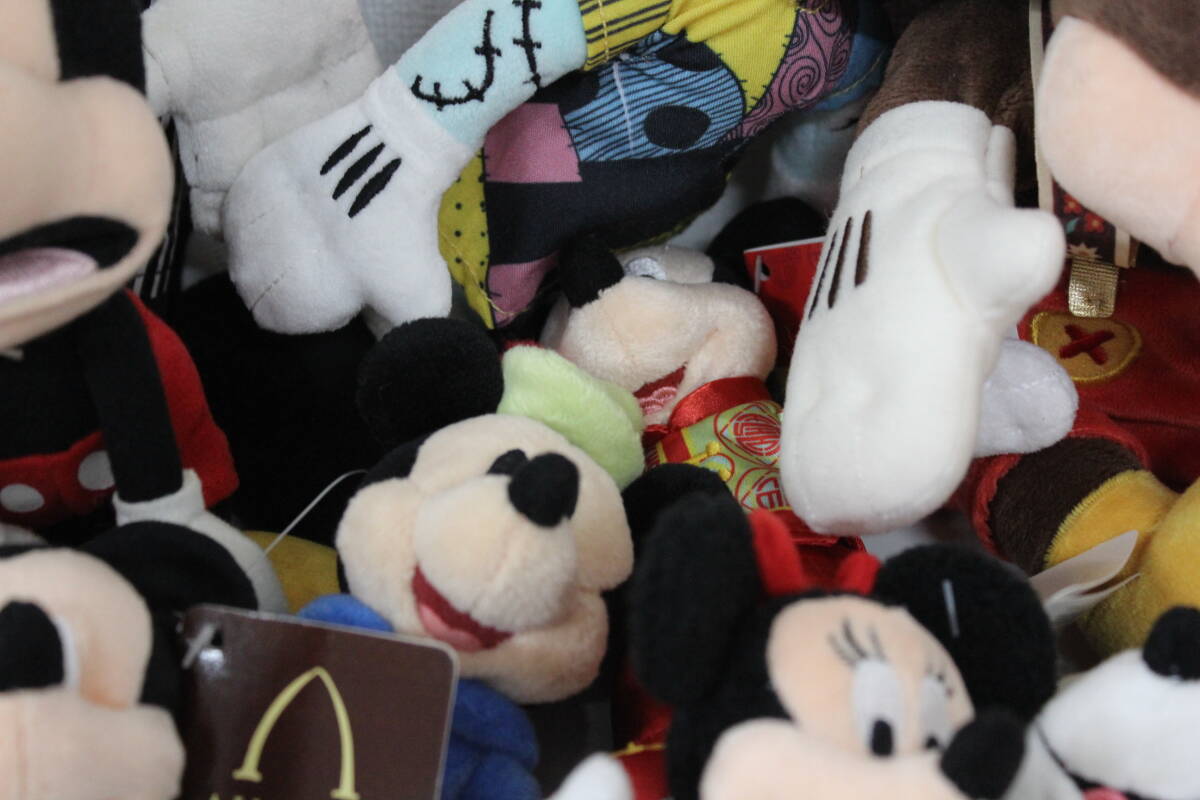  storage goods Disney Land mascot key holder soft toy etc. Mickey minnie Chan collection other large amount super-discount 1 jpy start 