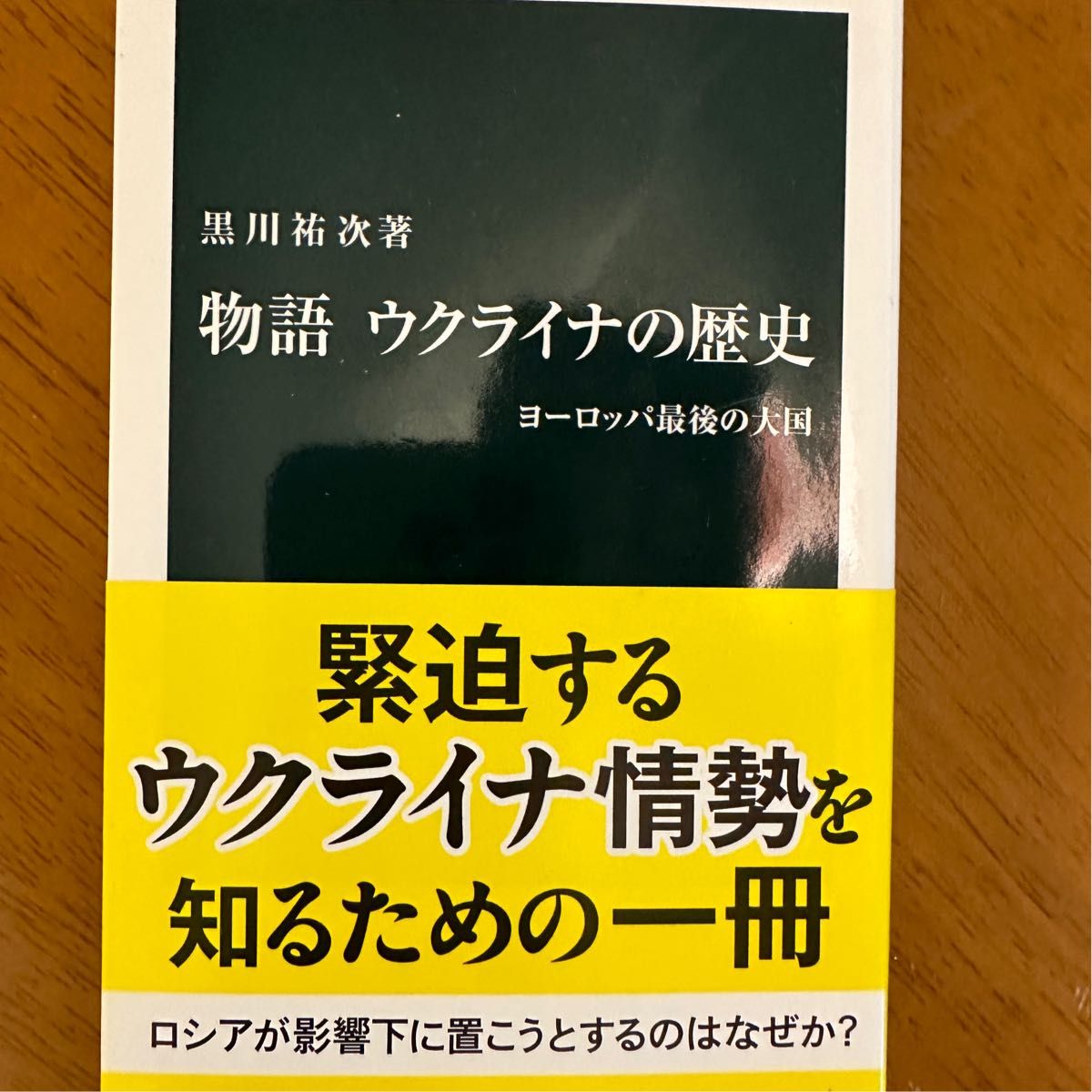 ウクライナの歴史　帯付き