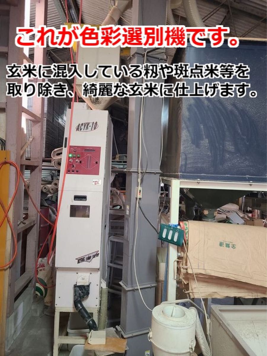 【令和5年産】無農薬栽培米・ミルキークイーン《玄米 5kg》精米にも無料対応