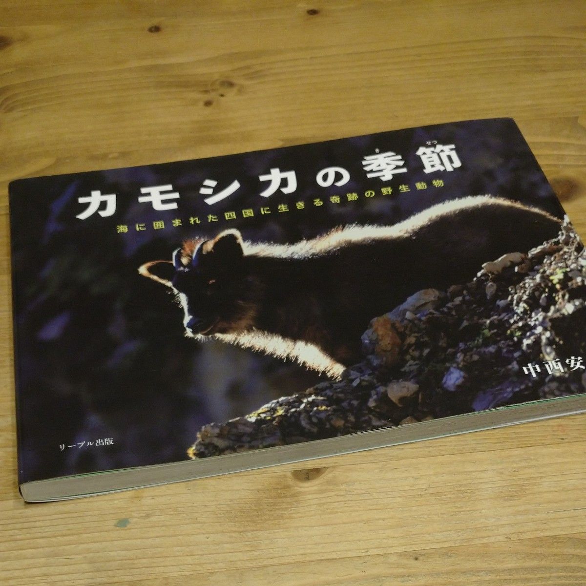 カモシカの季節 海に囲まれた四国に生きる奇跡の野生動物