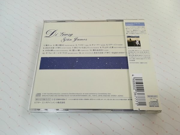 SIAN JAMES シアン・ジェームズ - DI GWSG 眠れぬままに 国内盤 CD 98年盤 帯あり　　4-0048_画像2