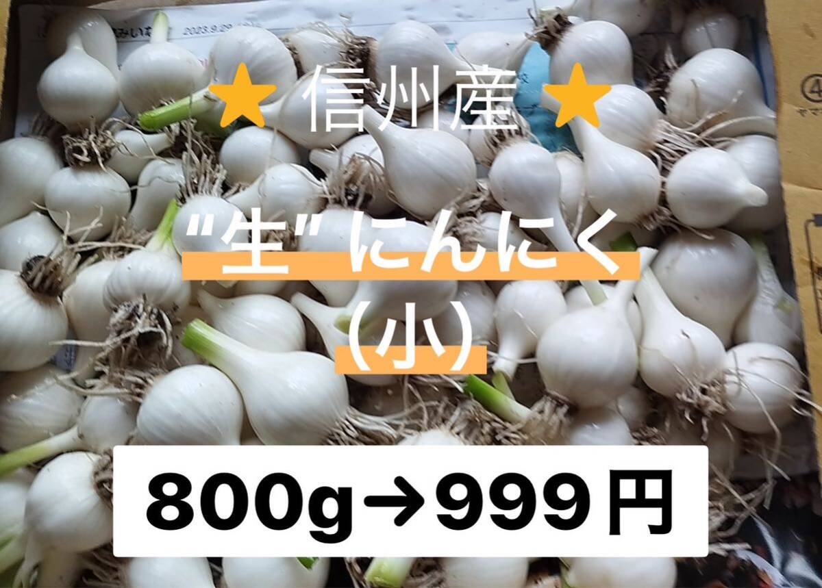  сырой чеснок takkyubin (доставка на дом) compact много 800g~900g Nagano префектура производство Shinshu производство 