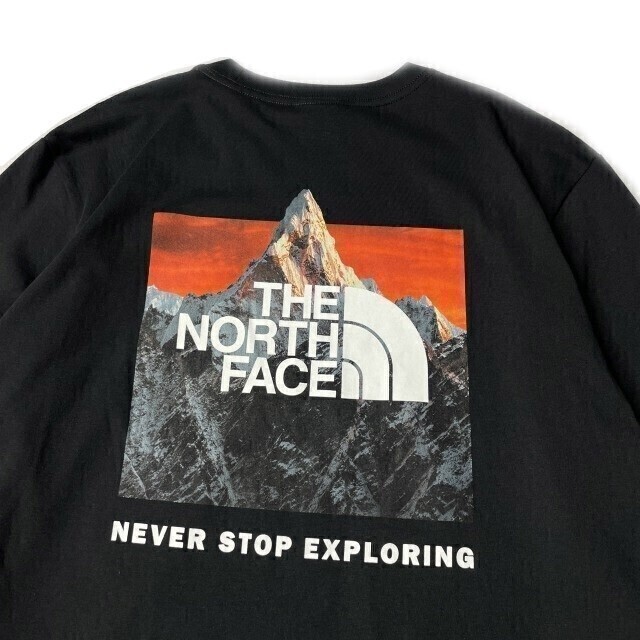 1円～!売切!【正規新品】THE NORTH FACE◆L/S BOX NSE TEE 長袖 Tシャツ ロンT US限定 ボックスロゴ バックプリント(L)黒 180902-20_画像4