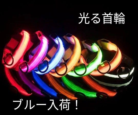 光る首輪 カラー 犬用首輪 LED ペットグッズ ペット用品 犬用 点滅 点灯 お散歩グッズ お出かけ 夜のお散歩 夜間用 雨の日