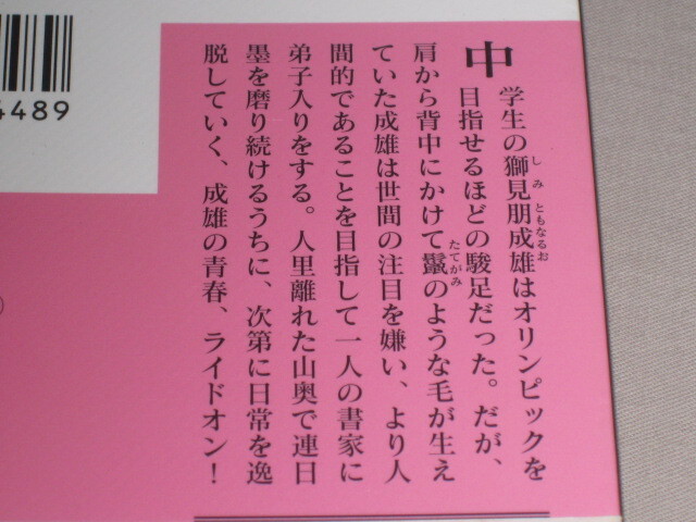 山ん中の獅見朋成雄★舞城王太郎★講談社文庫_画像3