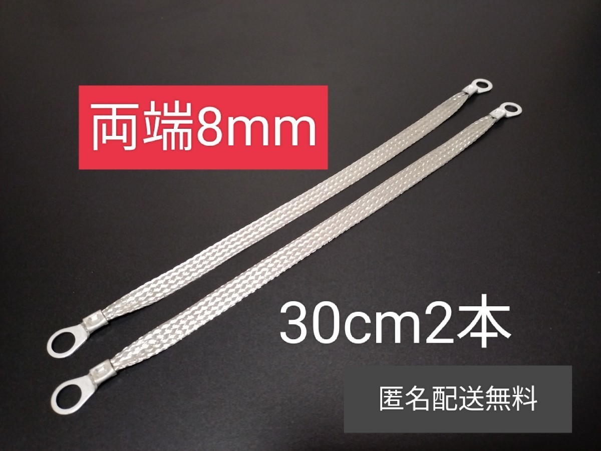 マフラーアース 端子サイズ両方8mm 30cm2本 アーシング